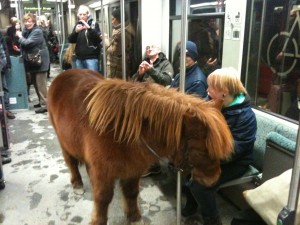 A pony travelling with S-Bahn in Berlin!!!!! 